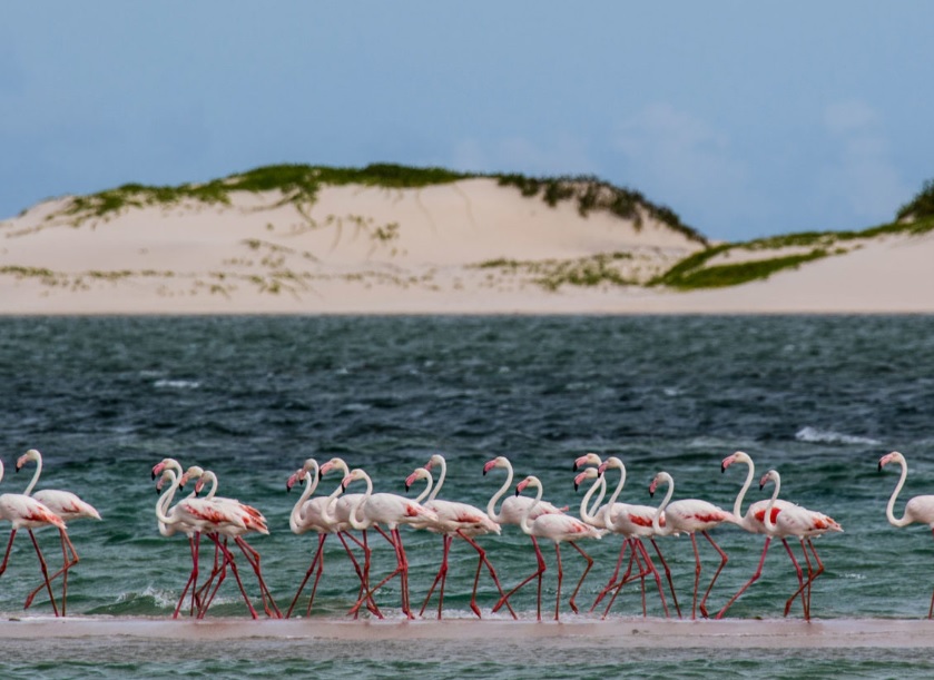 Stay Longer For Less at AndBeyond Benguerra Island lodge